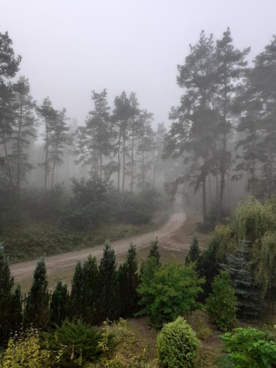 Noclegi Pod Dębem, Pulandia Brzózki - Housity