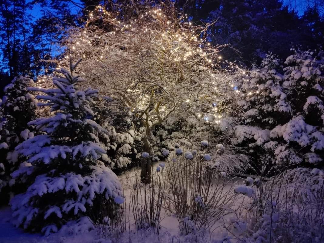 Noclegi Pod Dębem, Pulandia Brzózki - Housity