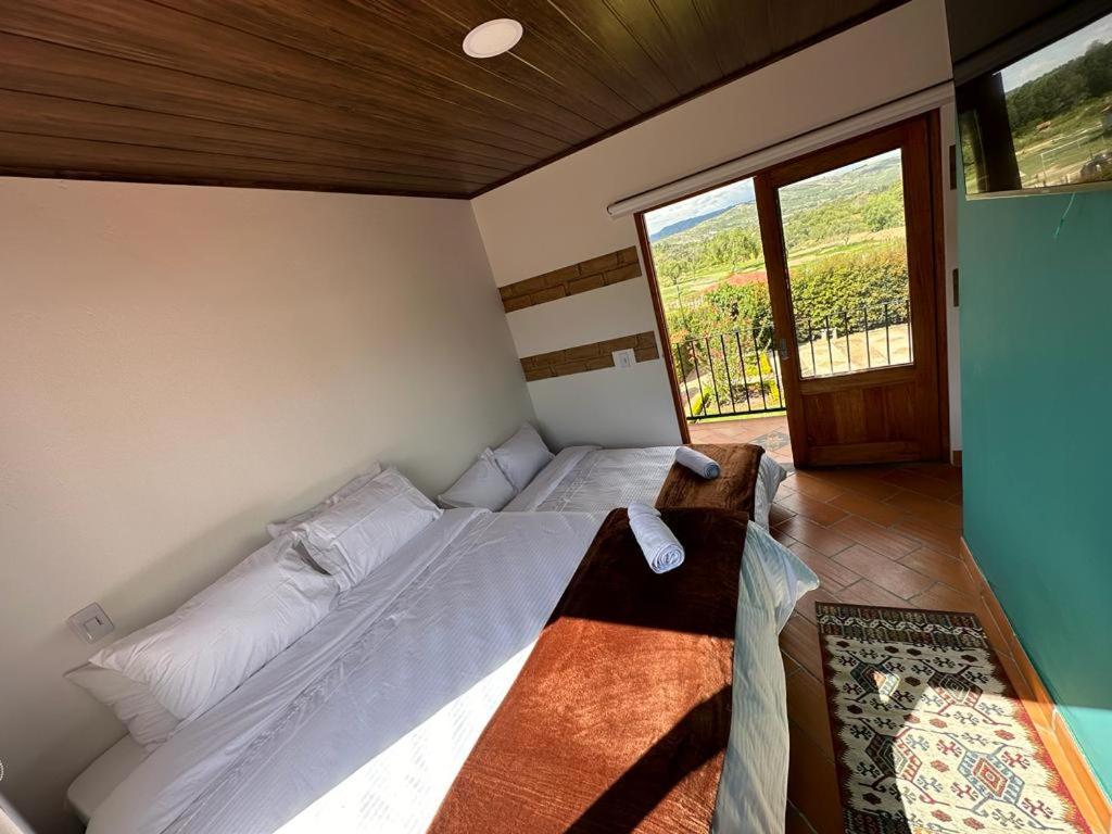 Hotel y Centro Comercial Valle del Pliosaurio - Housity