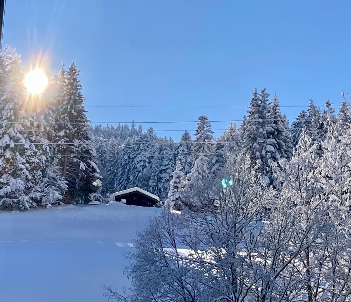 Ferienwohnung Haus am Bach in Toggenburg - Housity
