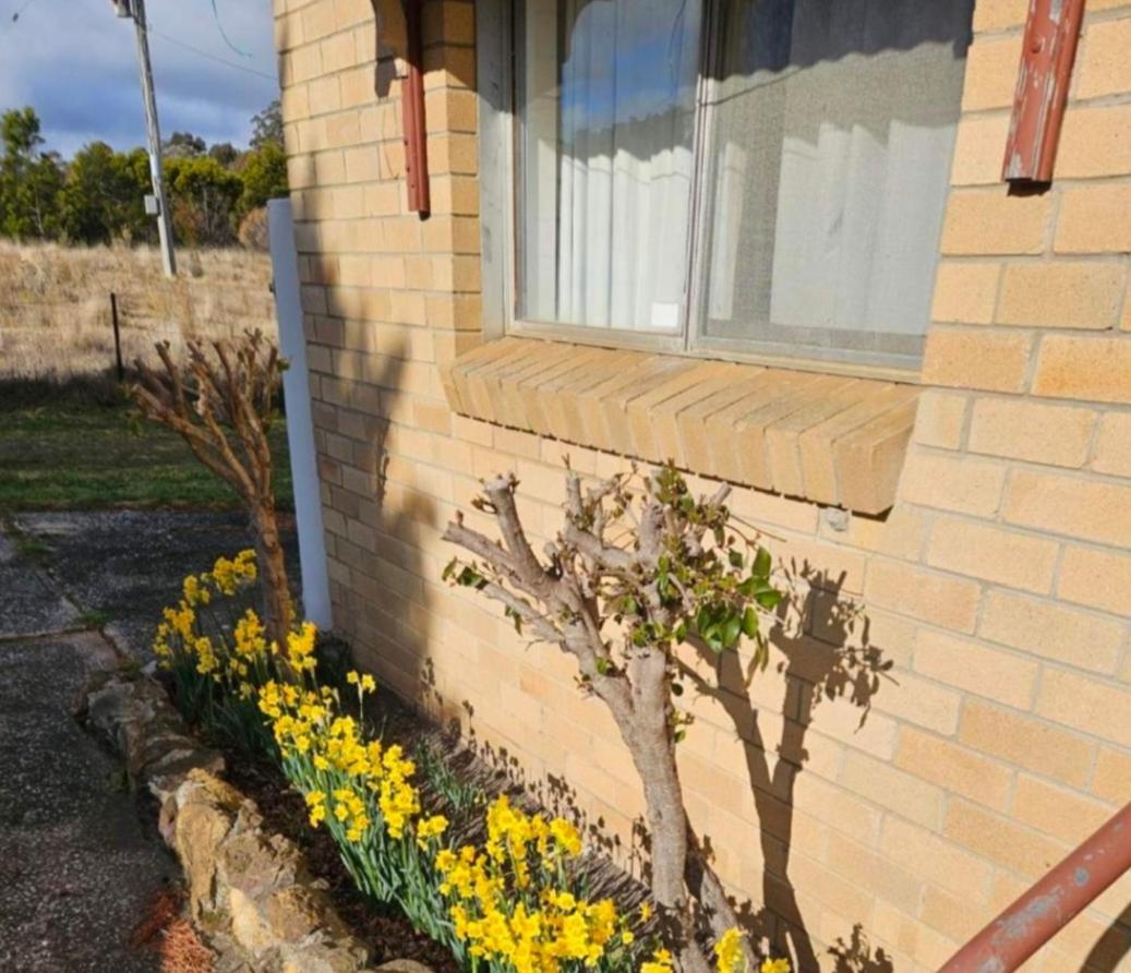 Bellevue Lodge farm stay near Goulburn - Housity