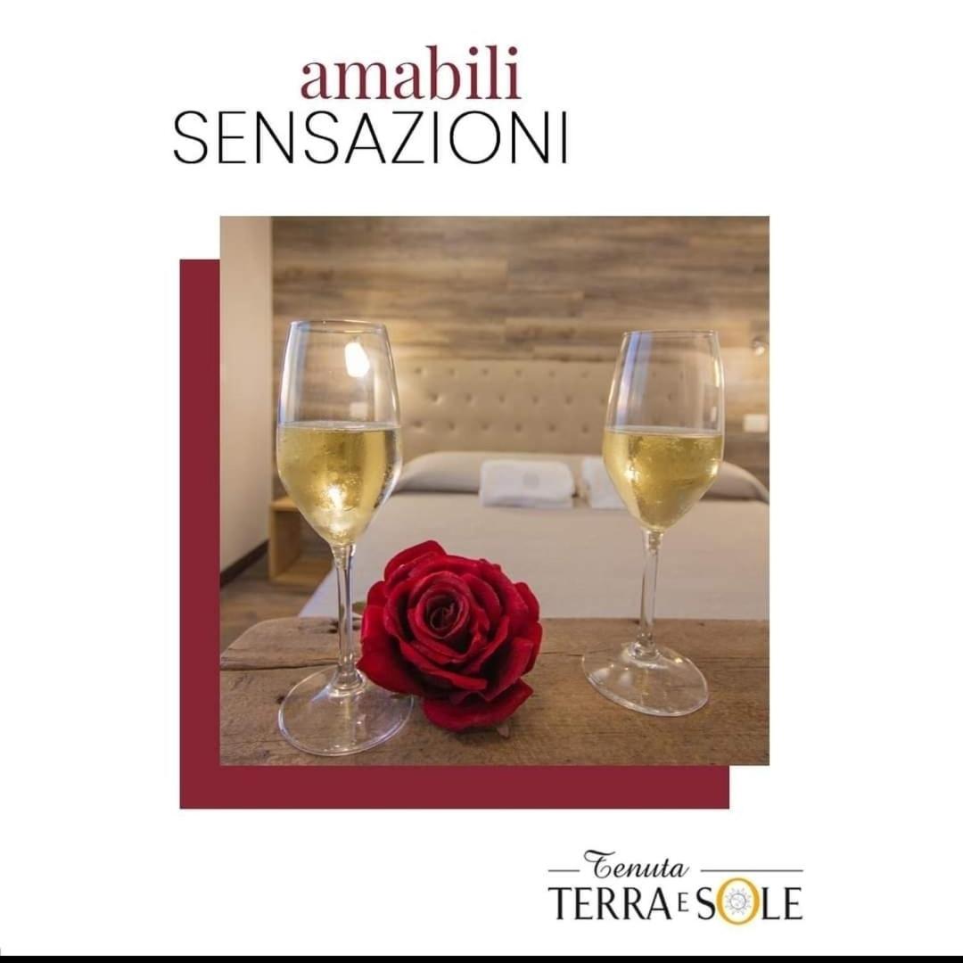 Tenuta Terra e Sole - Housity