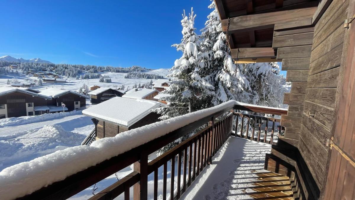 APPARTEMENT PLEIN SUD AUX SAISIES N°6 - Housity