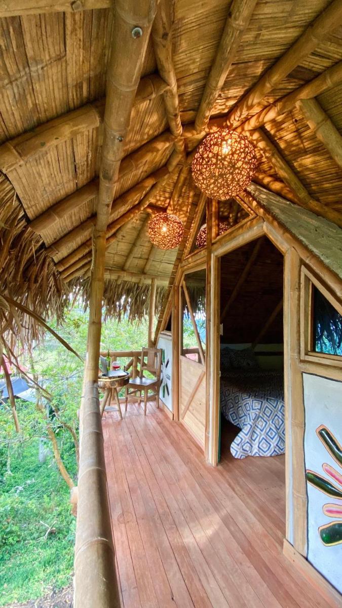 hospedaje finca el Mono - Housity