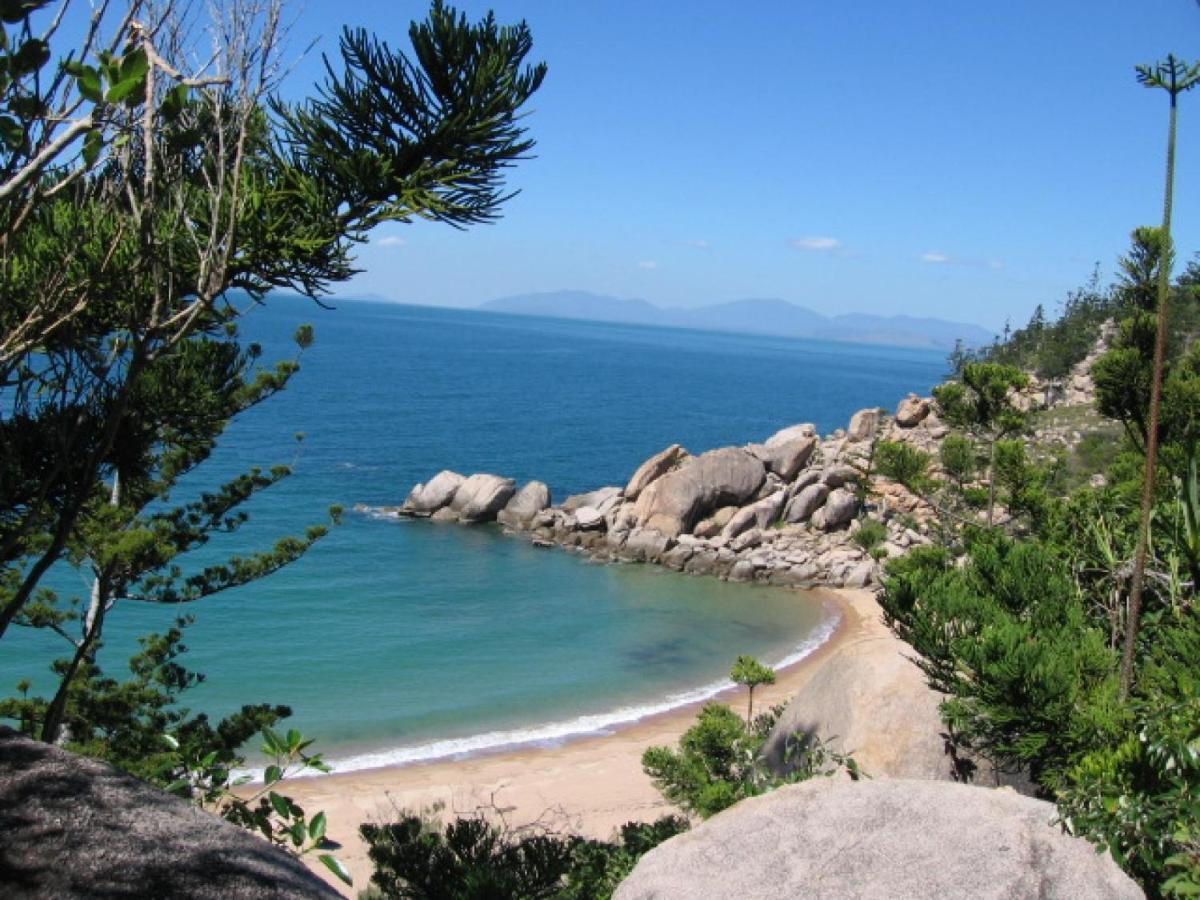 AFFORDABLE ISLAND ESCAPE! Queen Studio, Nelly Bay - Housity