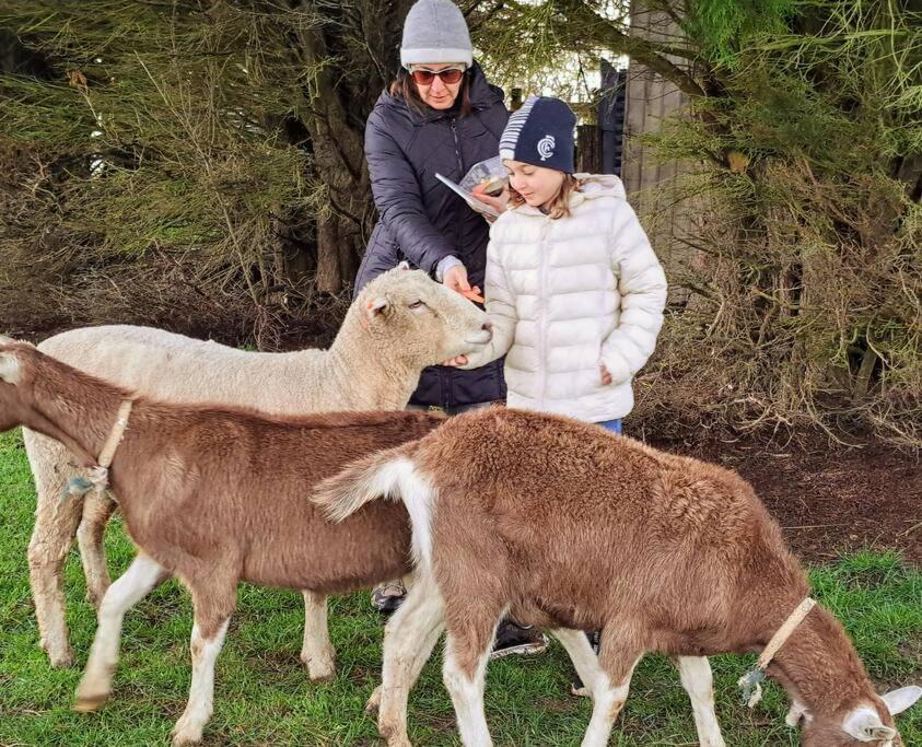 Jilly Park Farmstay Experience Discover Authentic Farm Life Complimentary Breakfast Included - Housity