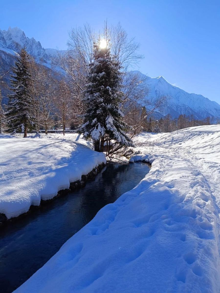 APPARTEMENT CHAMONIX MONTBLANC 1 à 4 personnes - Housity