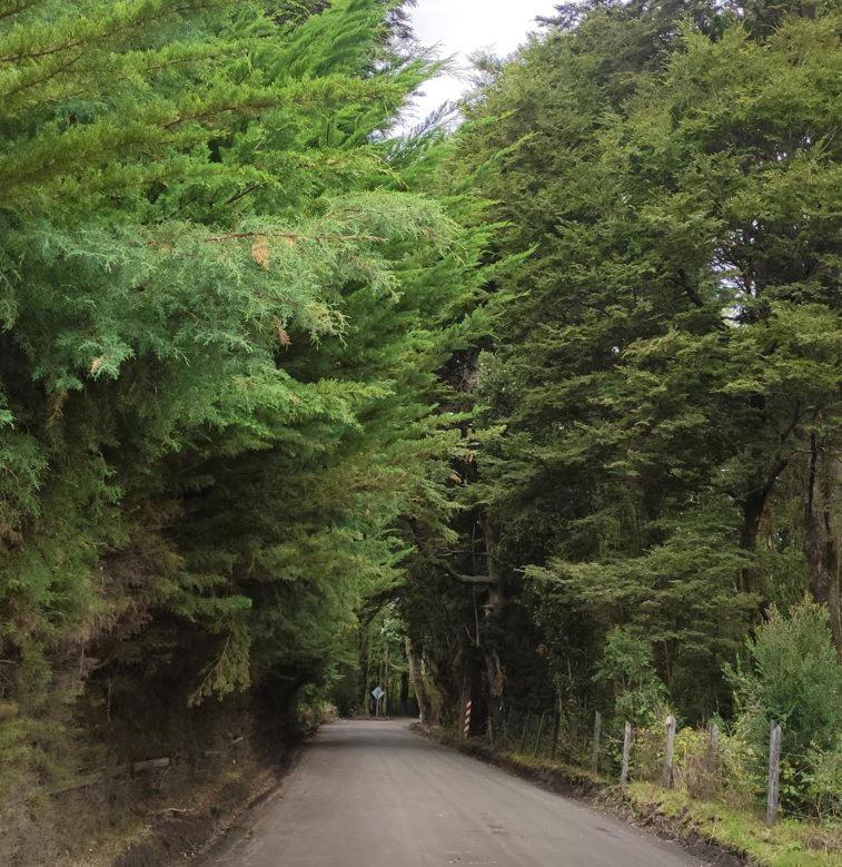 Cabaña Ensenada, Puerto Varas - 1 ambiente - Housity