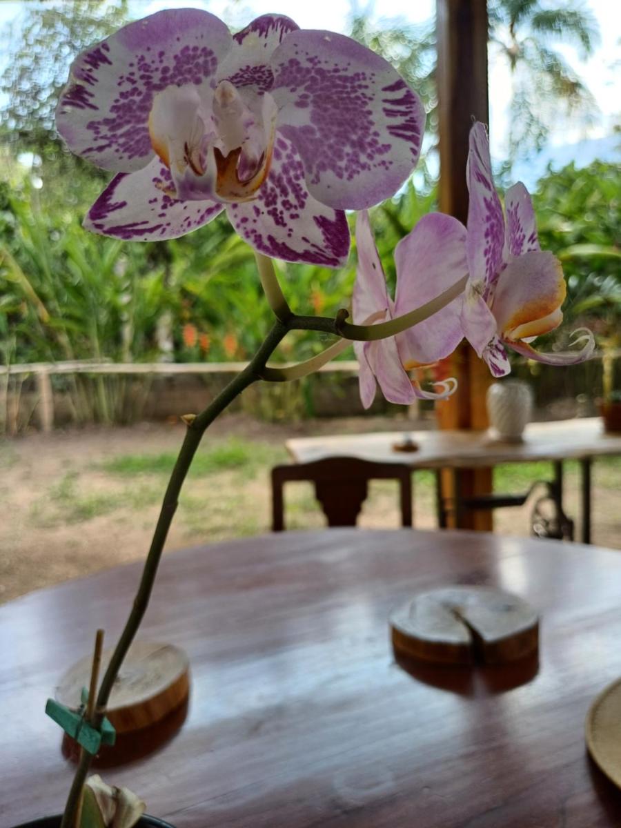 El Cacaotal Finca Faura - Housity