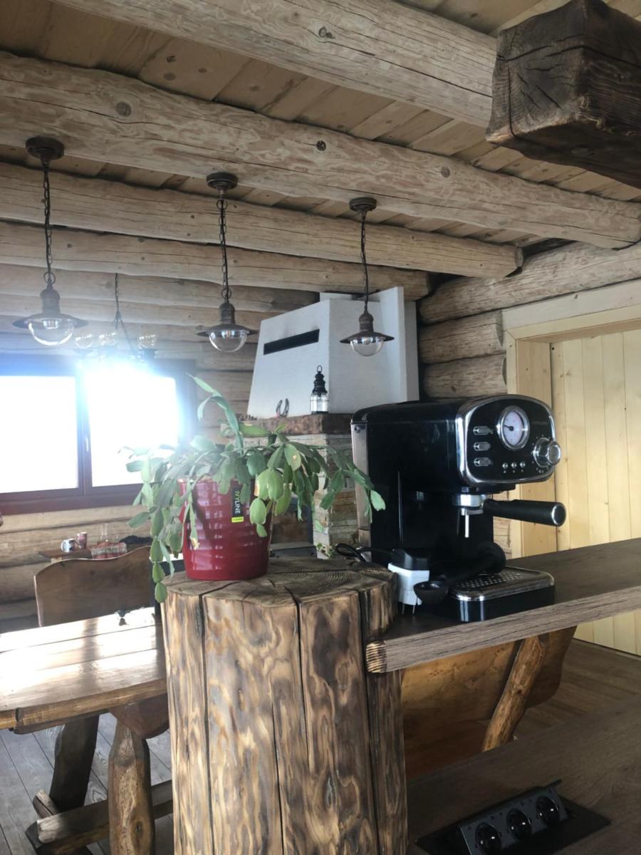 LOG HOUSE POLUDNICA - Housity