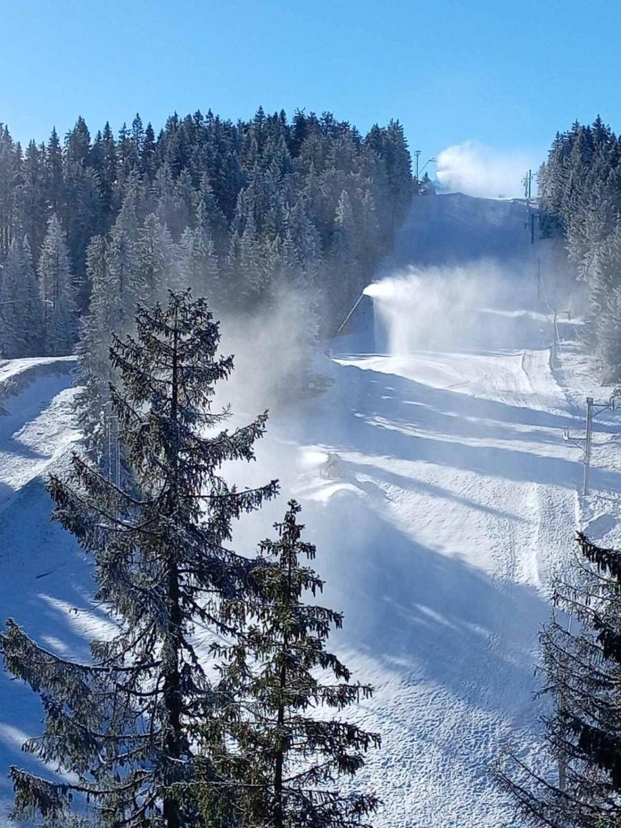 WOODSIDE WOODSIDE Apartments Kopaonik FREE Parking & SPA , FREE SKI Locker - Housity