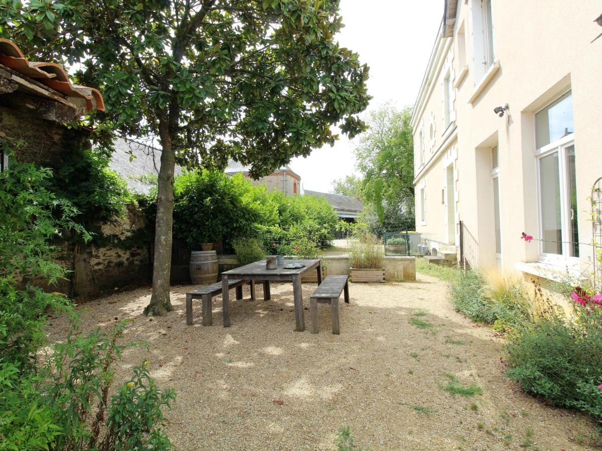 Gîte spacieux au cœur d'un vignoble avec sauna, cheminée et jardin privatif, vallée du Layon - FR-1-622-49 - Housity