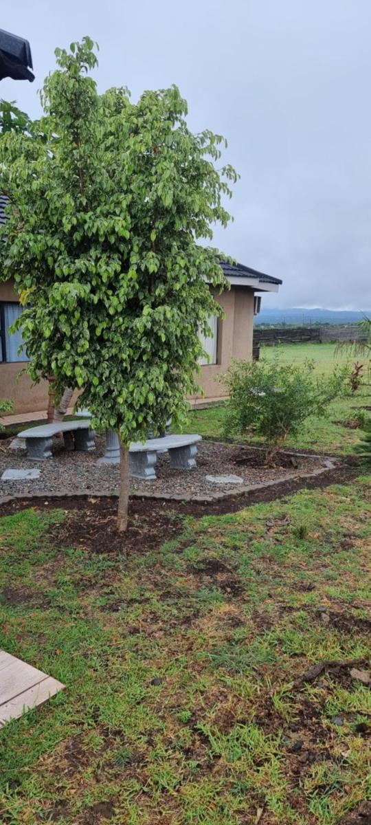 Sapphire Lodge - Housity