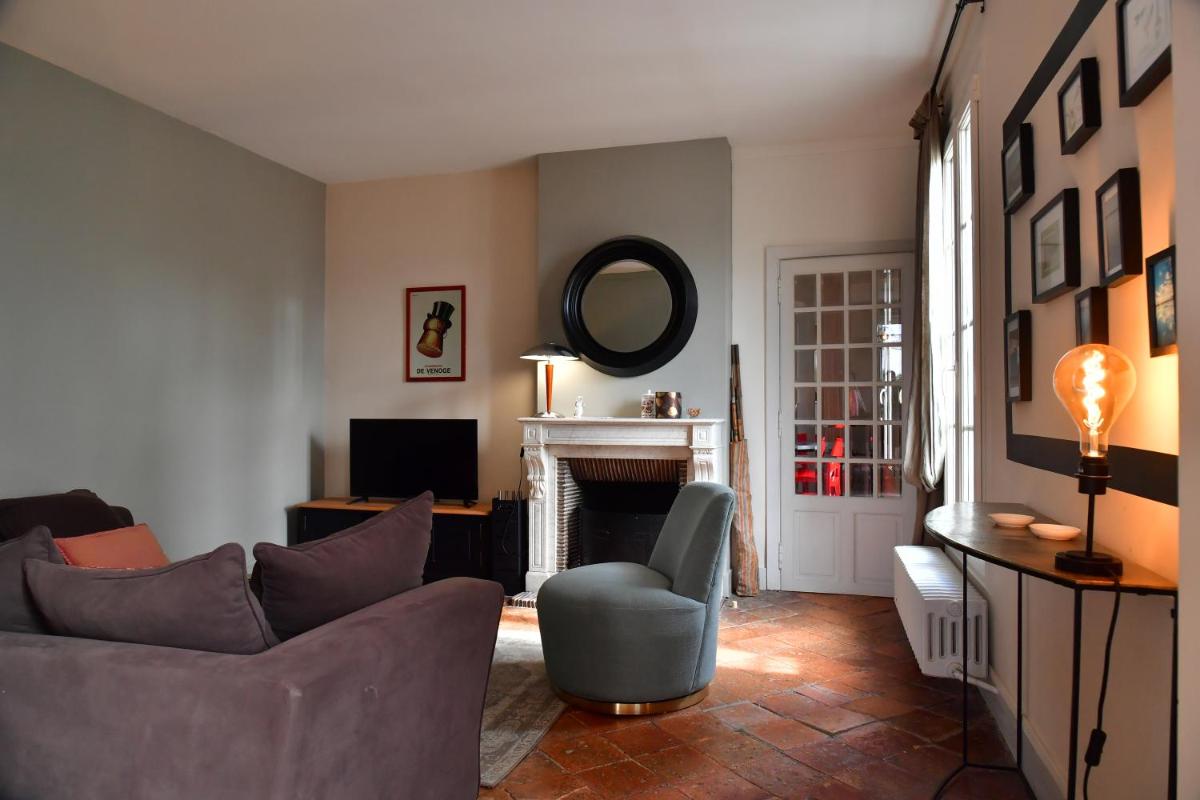Les sternes de st Mathurin sur Loire , vue Loire - Housity