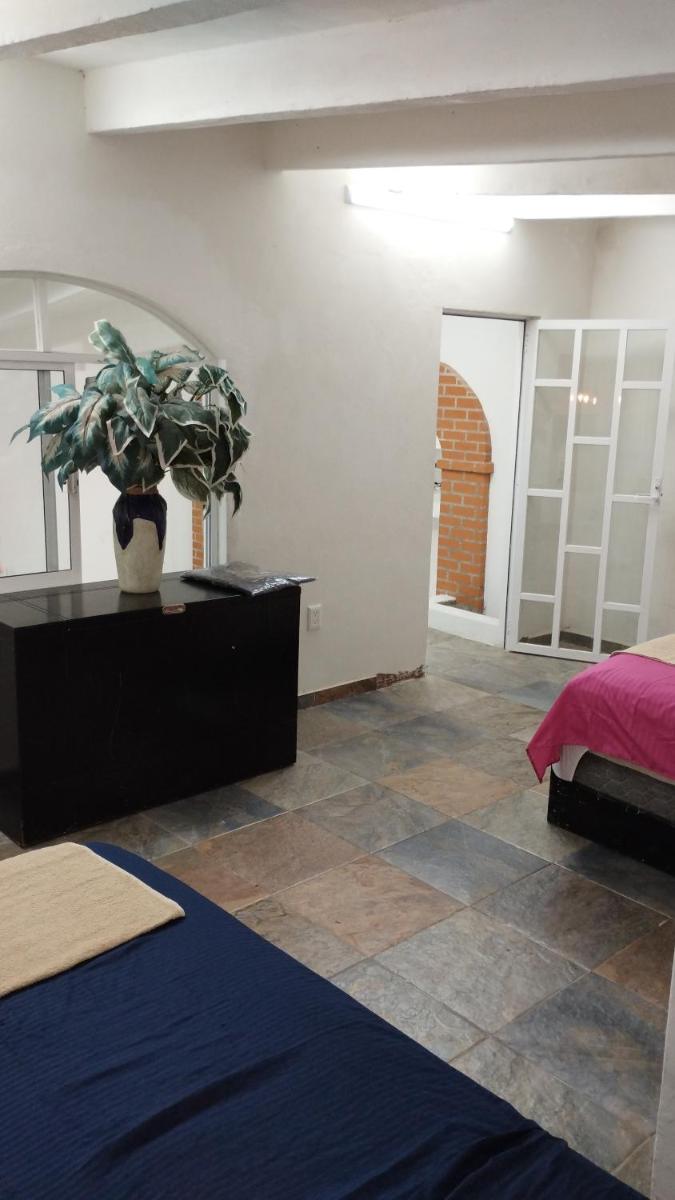 Natural house - Housity