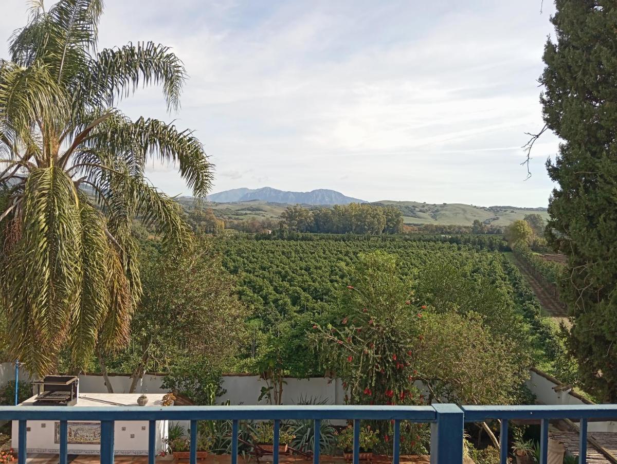 LOS DOS CEDROS - Housity
