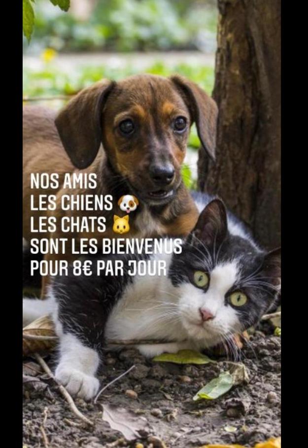 Appartement rénové 1 chambre pour 4 personnes à Cassen - Housity