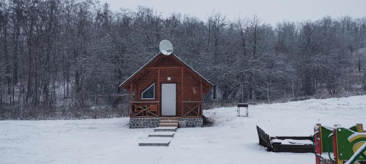 Шафран - Housity