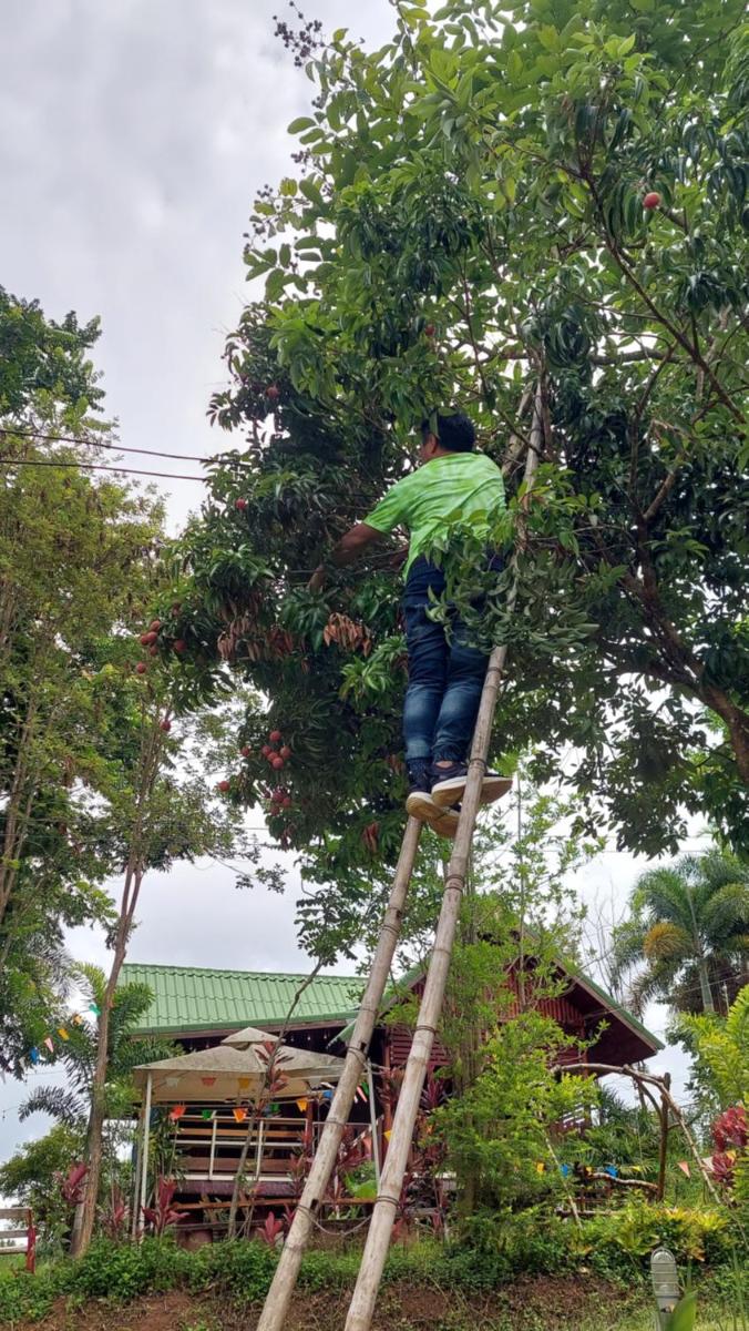 Baanephlinphuu ekhaakh1 - Housity