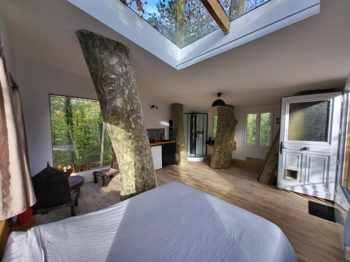 La maison dans l'arbre - Housity