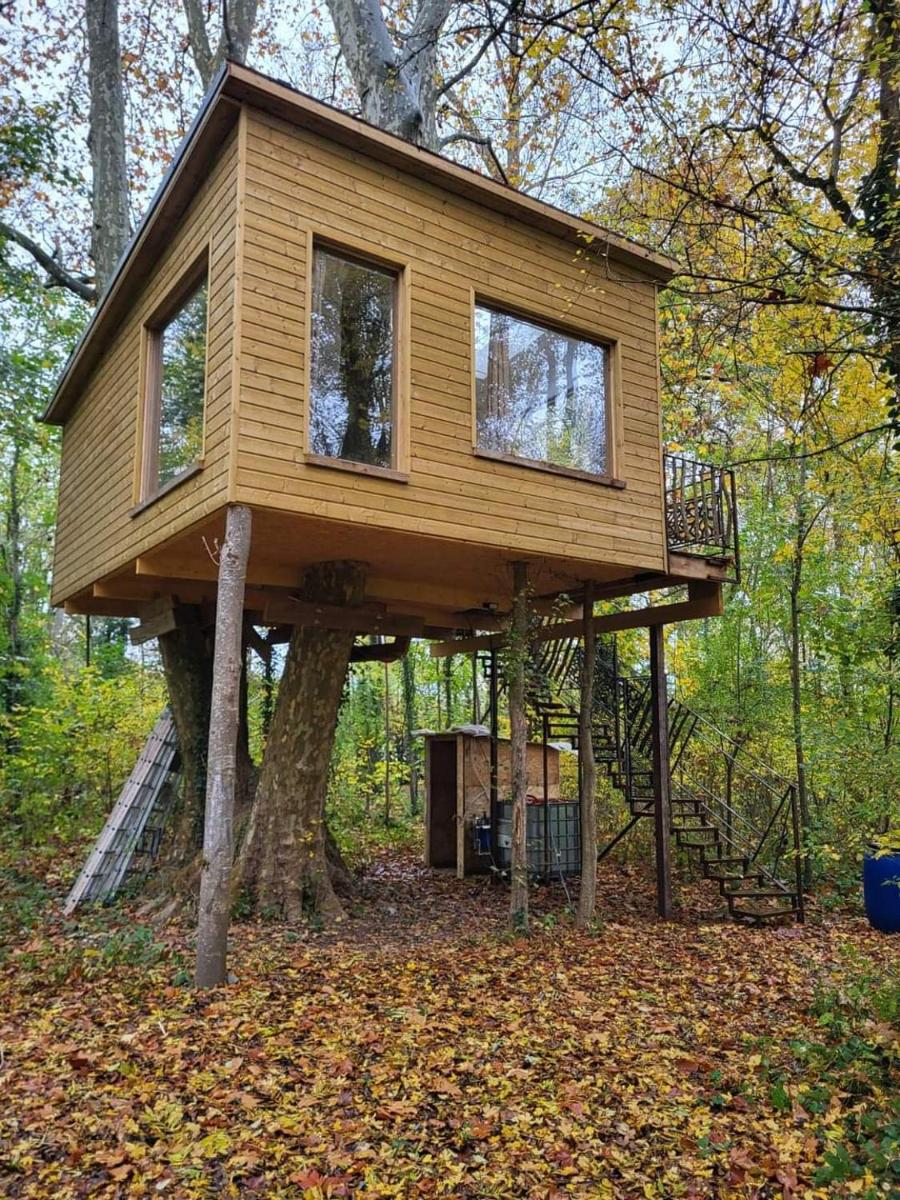 La maison dans l'arbre - Housity
