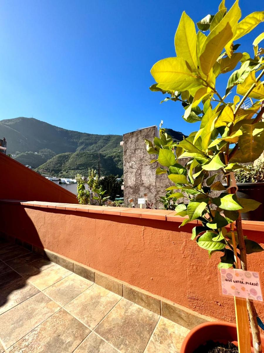 Precioso apartamento con terraza en piso superior - Housity