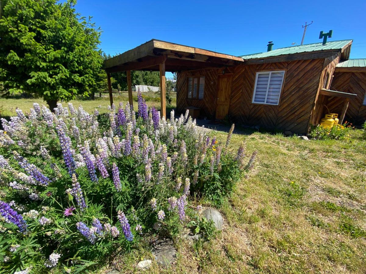 Patagonia Bordelago - Housity