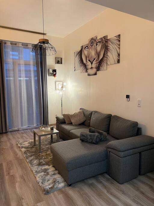 Appartement cosy avec terrasse - Housity