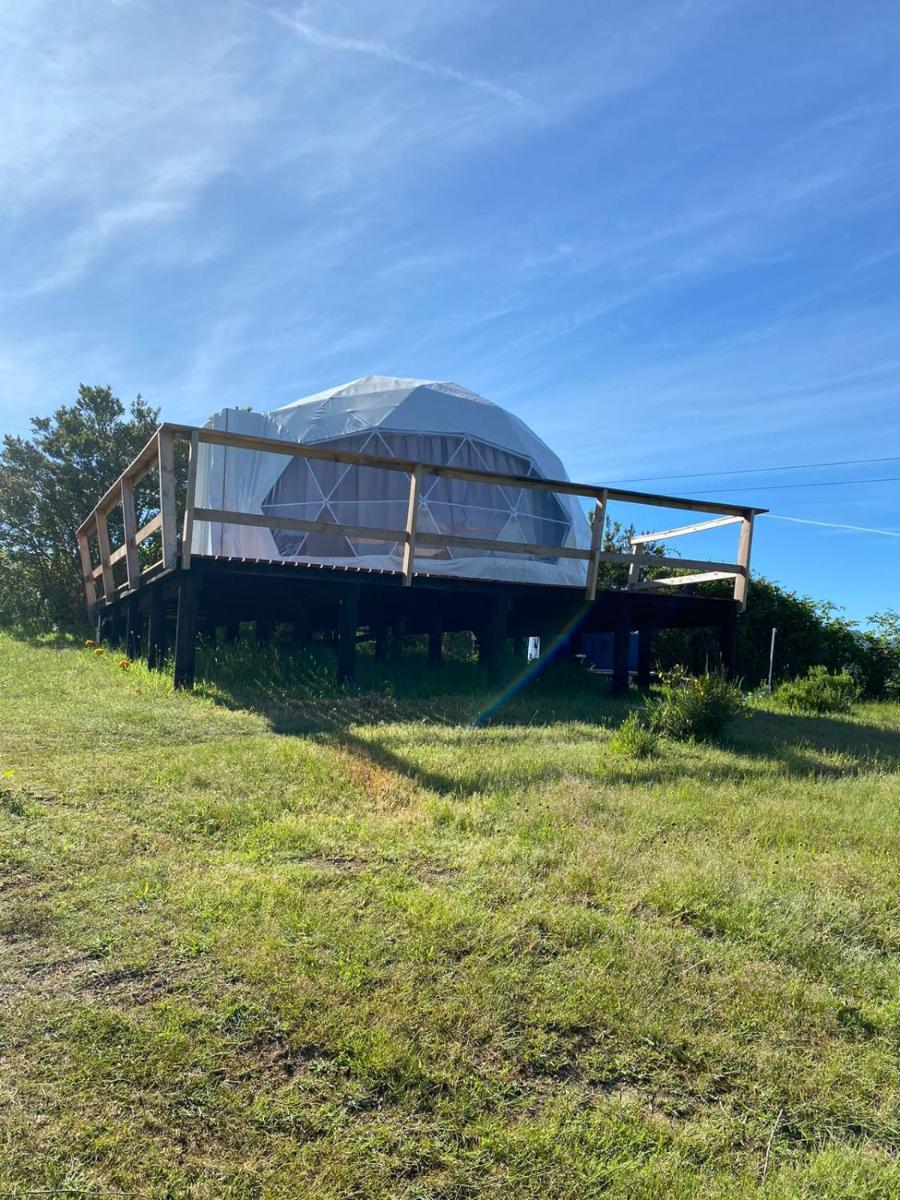 Milenaria Glamping - Housity