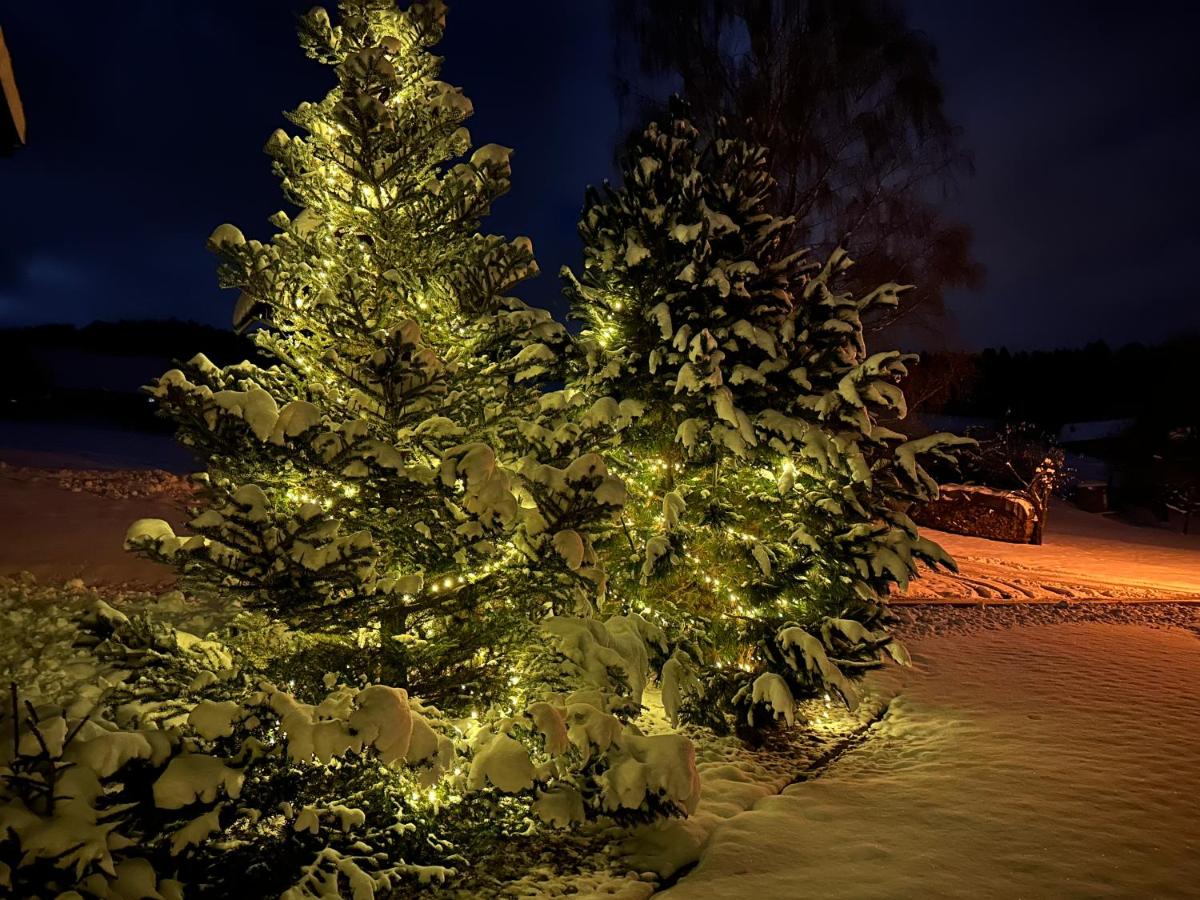 Apartmany Silver - Housity