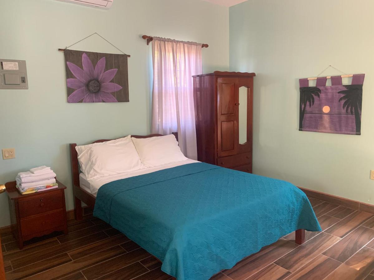 Lily Pad II - Housity