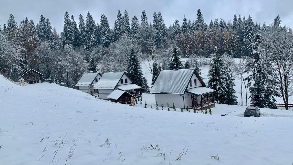 Domki Potok - Noclegi Bieszczady - Housity