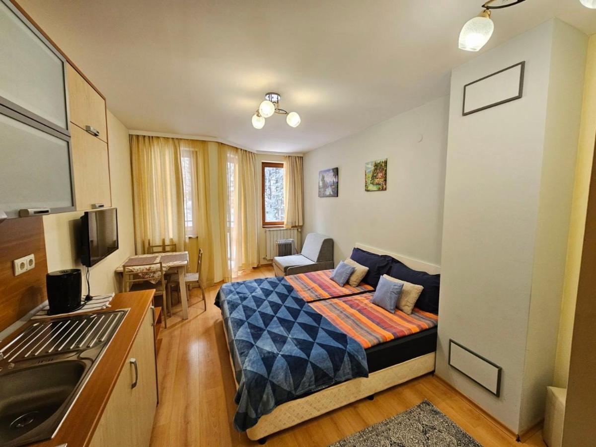 Borovets Villa Park studio - Housity