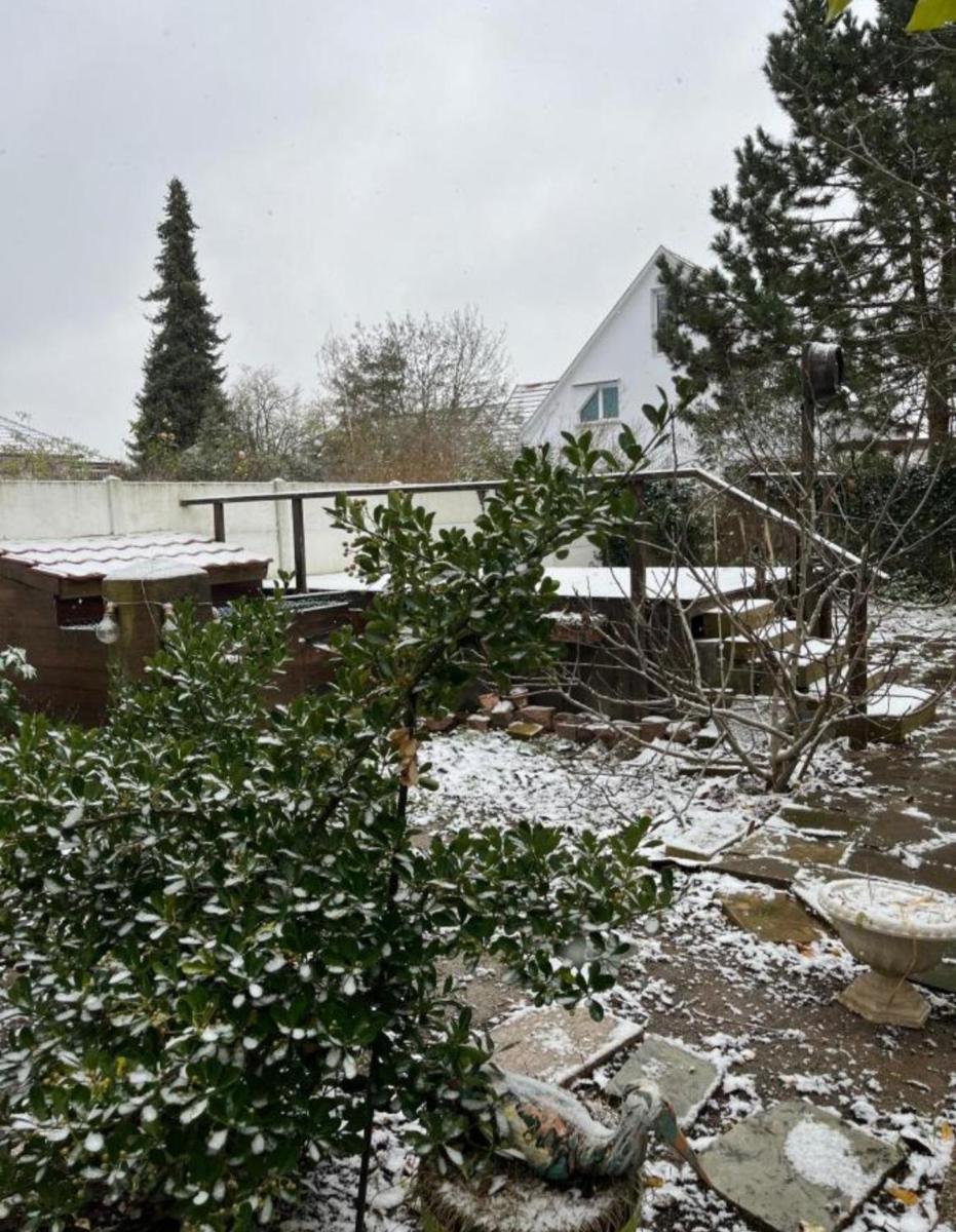 Garden Duplex - Housity