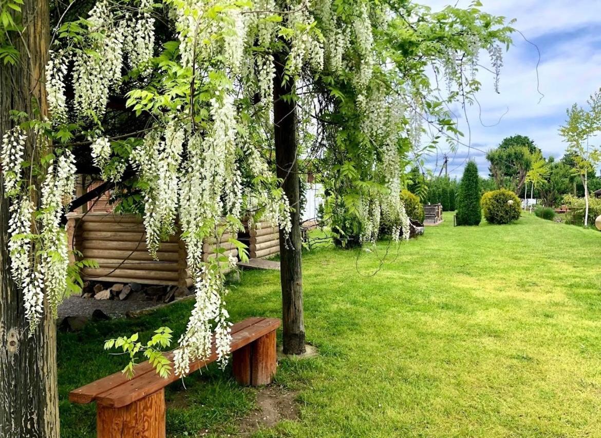 Picnic Park - Housity