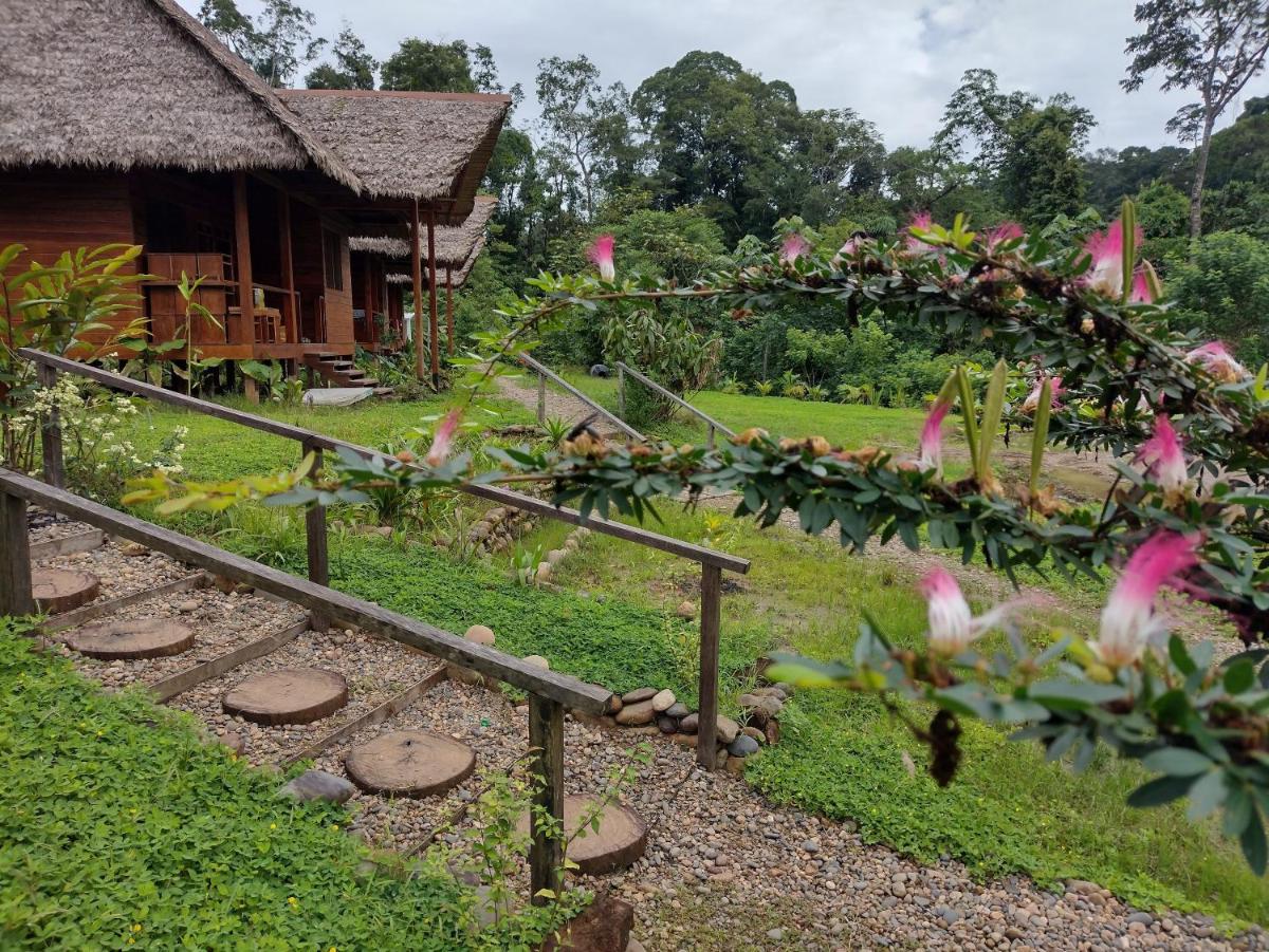 Suitetrails - Kotsimba Lodge