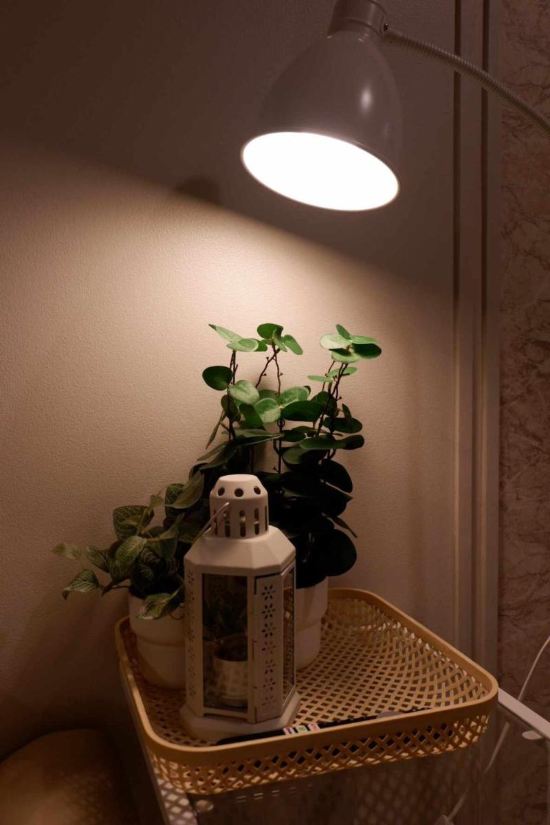 An Elegant 1 Bedroom in S Residences - Housity