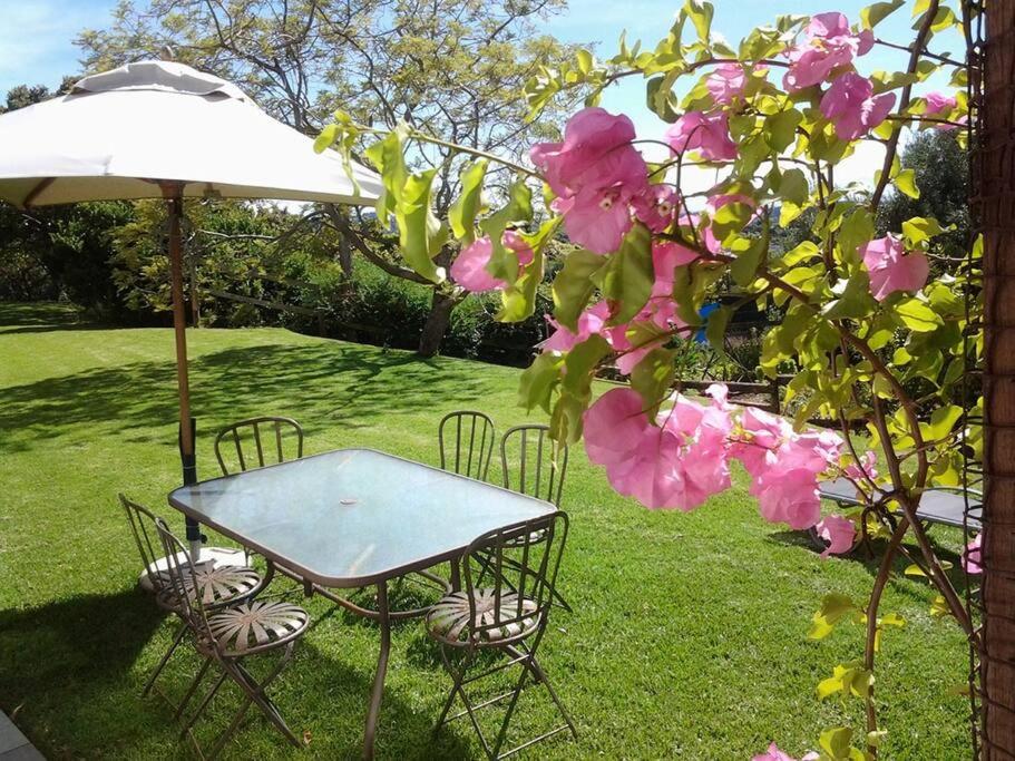 APARTMENT ON CONSTANTIA WINE ROUTE - Housity
