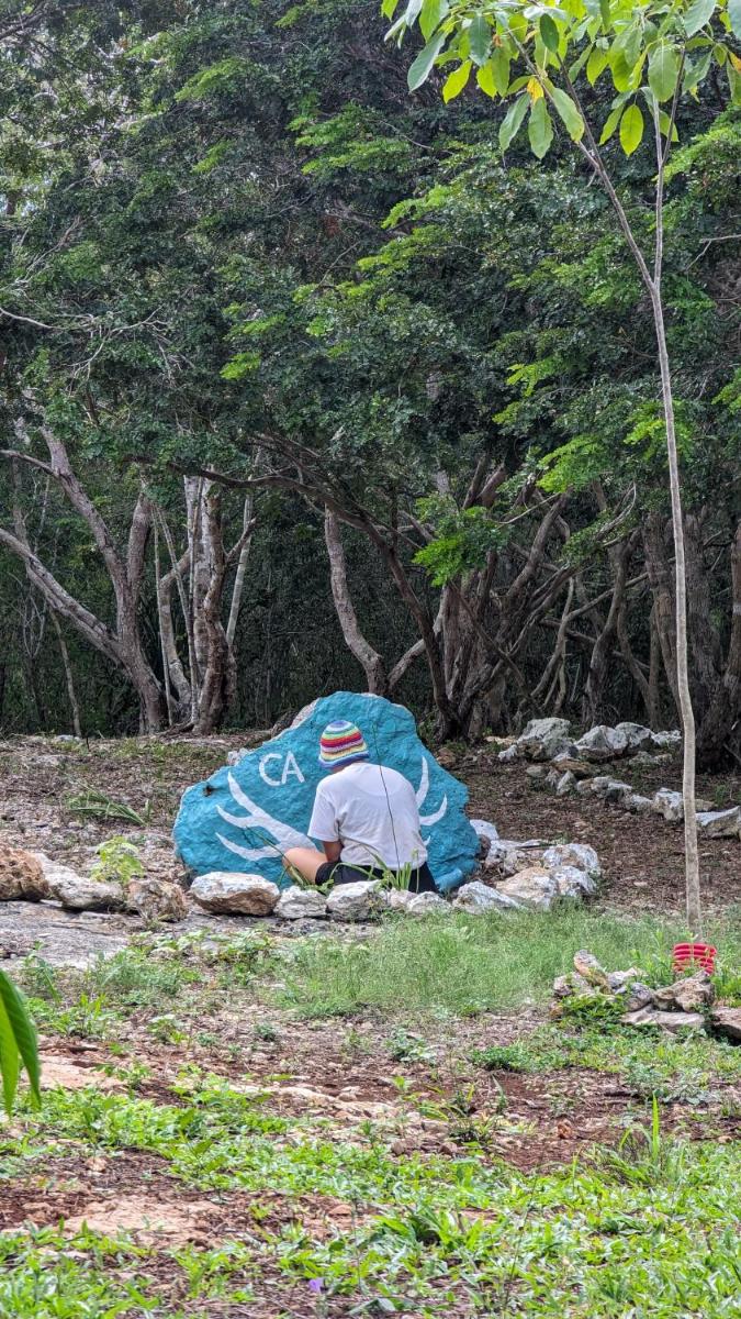 Aldea Venado Wild Camping - Housity