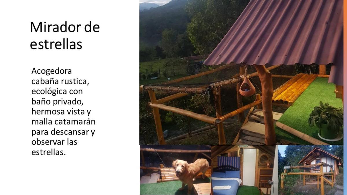 El Refugio del Oso de Anteojos - Housity