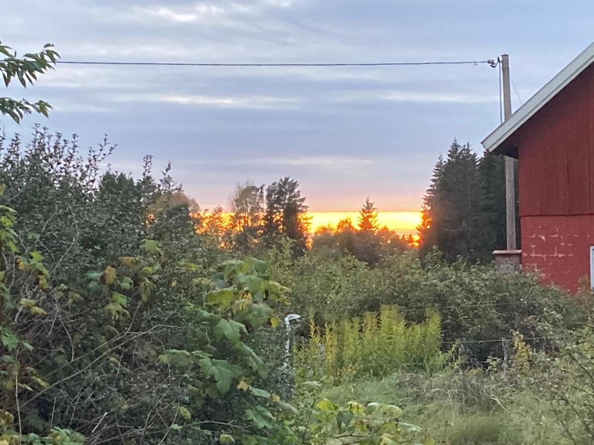 Egen stuga med delat badrum - Housity