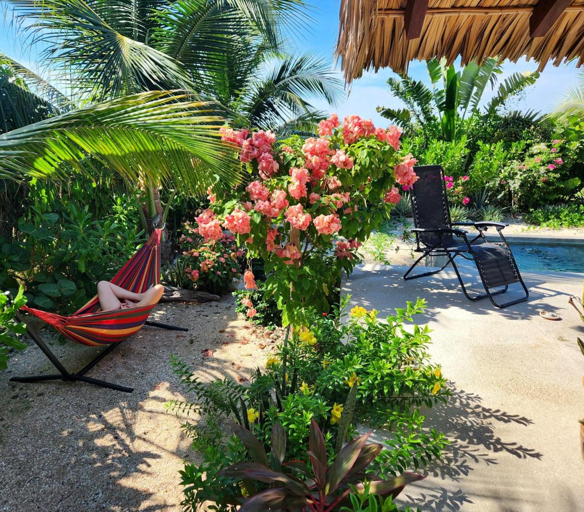 Casa Ikal Charming beach front House with Pool - Housity