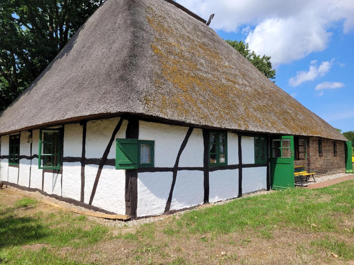Ferienhof Schwalbennest OFC 24 - Housity
