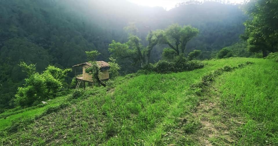 Shri Timli Mountain Village Stay - Housity