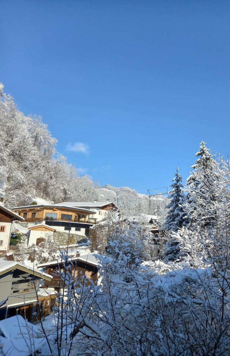 Bio-Chalet Haus Wagner - Housity