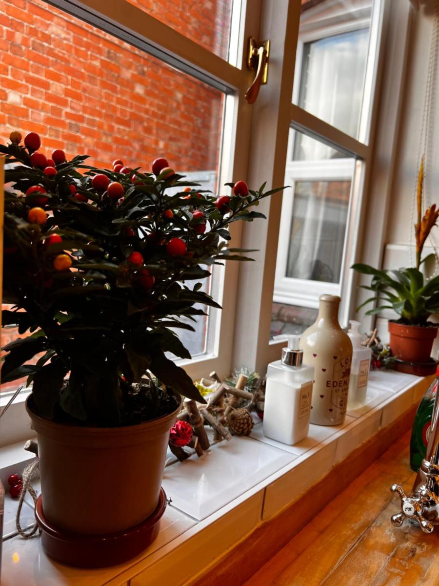 Cartref - Fully equipped and stunning town flat - Hizvo