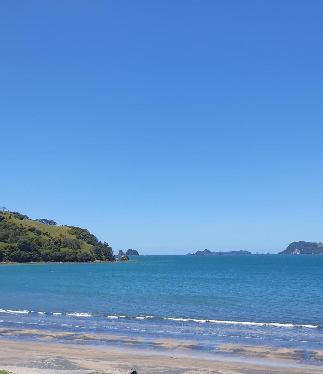 Beachsider Whitianga - Hizvo