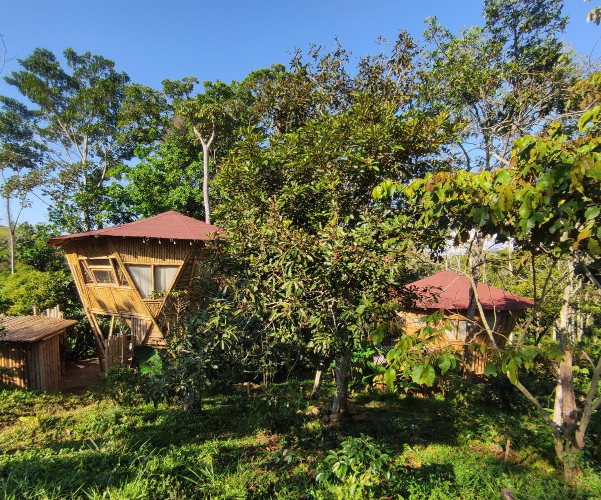 Casa Bambu Glamping - Housity