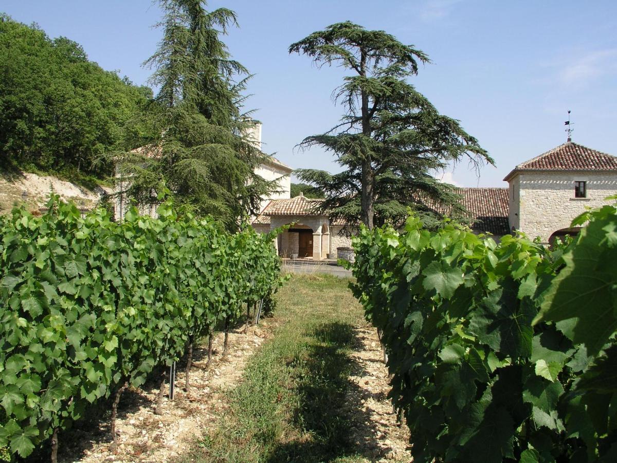 Jardin de l'établissement Château Lecusse - La Grande Roche - Hôtel, Spa, Boutique & Restaurant