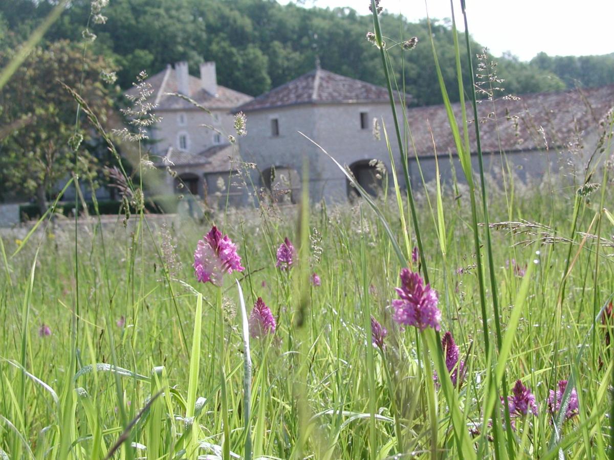 Paysage naturel près de l'hôtel